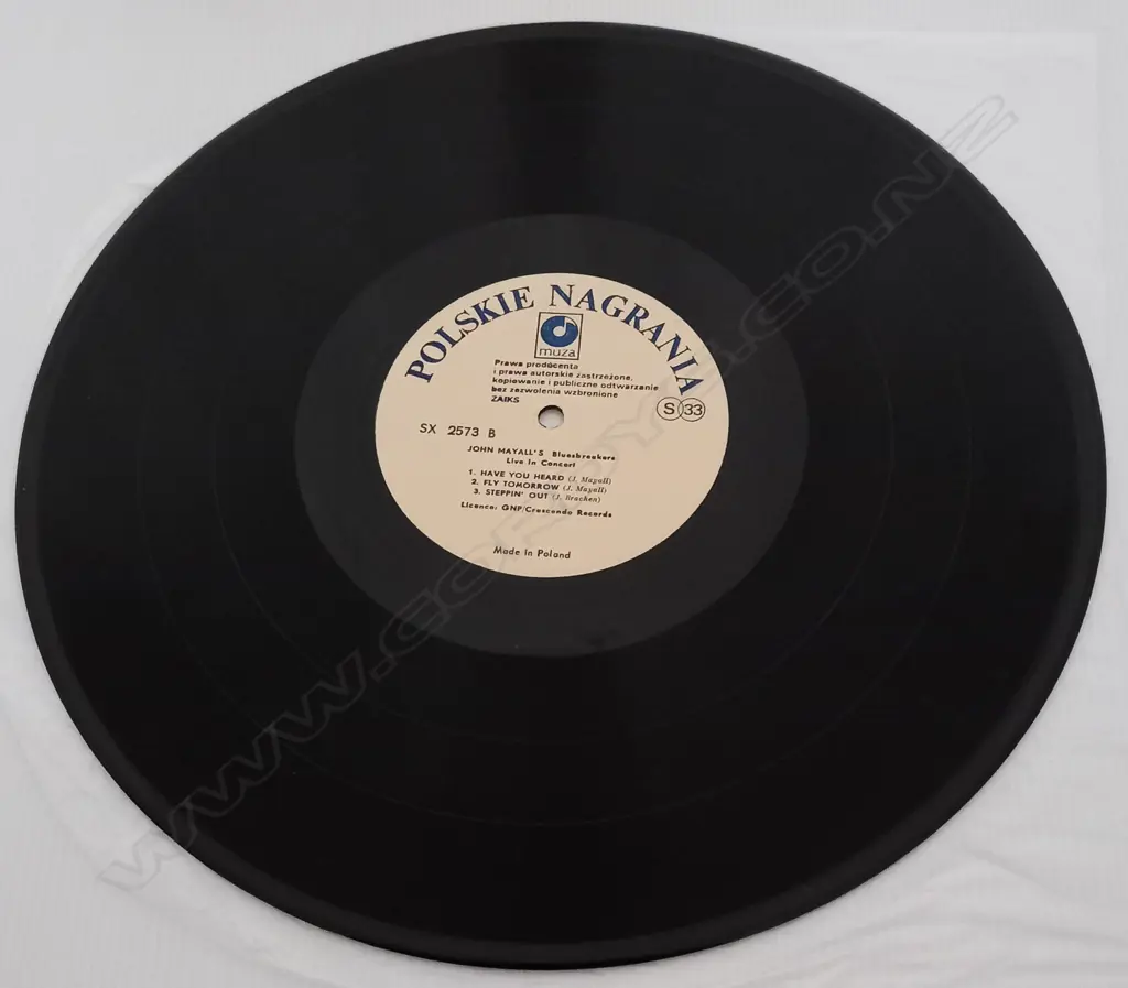 John Mayall & The Bluesbreakers, Live In Concert Image 1++